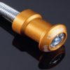 cavm10_G